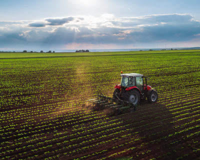 Quale scelta fare fra decine di modelli di trattori agricoli? La macchina adatta a te